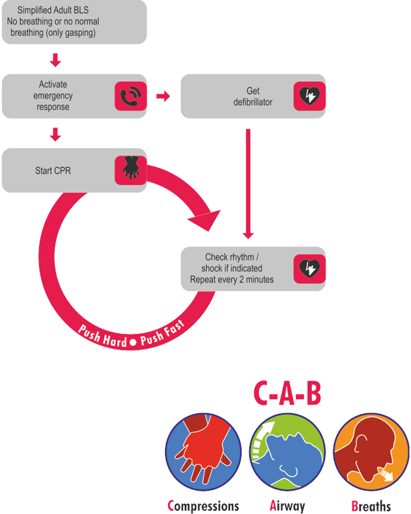 basic life support
